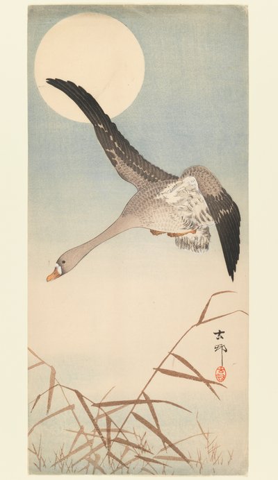 Gans im Mondlicht fliegend von Ohara Koson